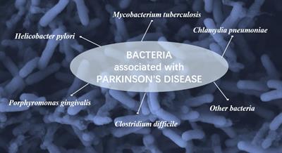 Insights into the roles of bacterial infection and antibiotics in Parkinson’s disease